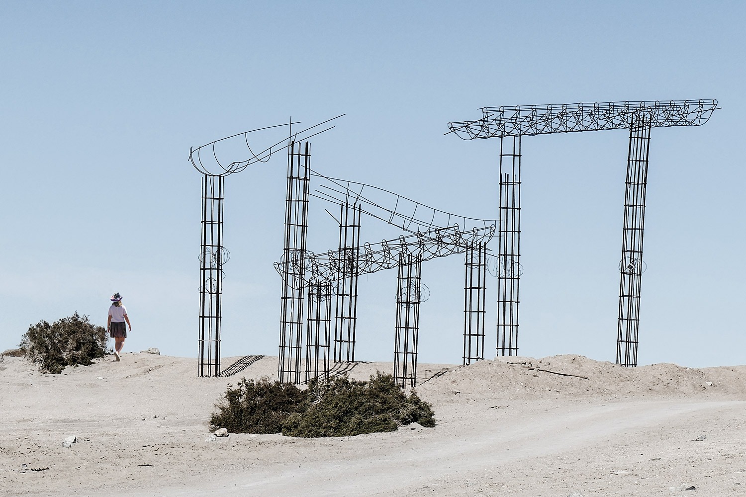 Mark Wegner Art + Design