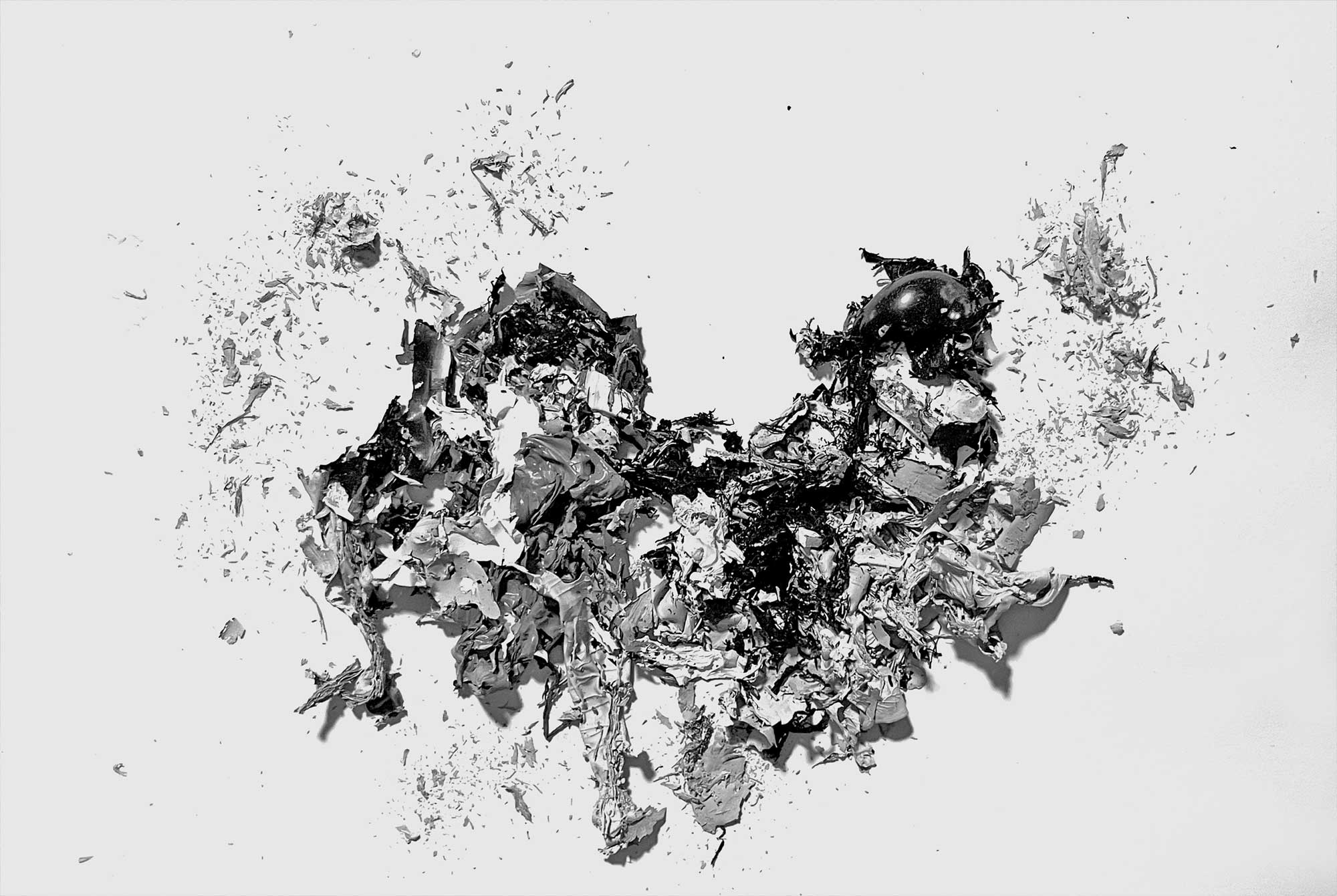 © Mark Wegner, Painter/Photographer - www.markwegner.com