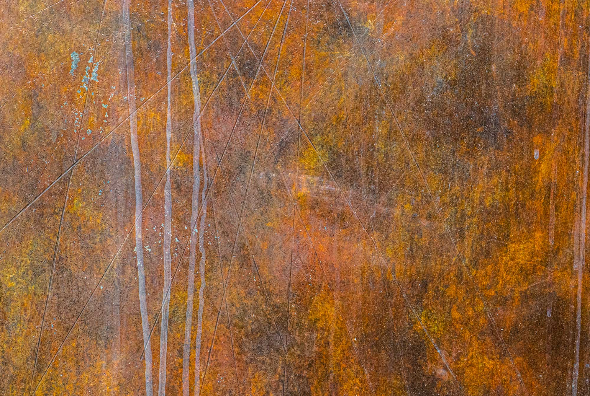 © Mark Wegner, Painter/Photographer - www.markwegner.com