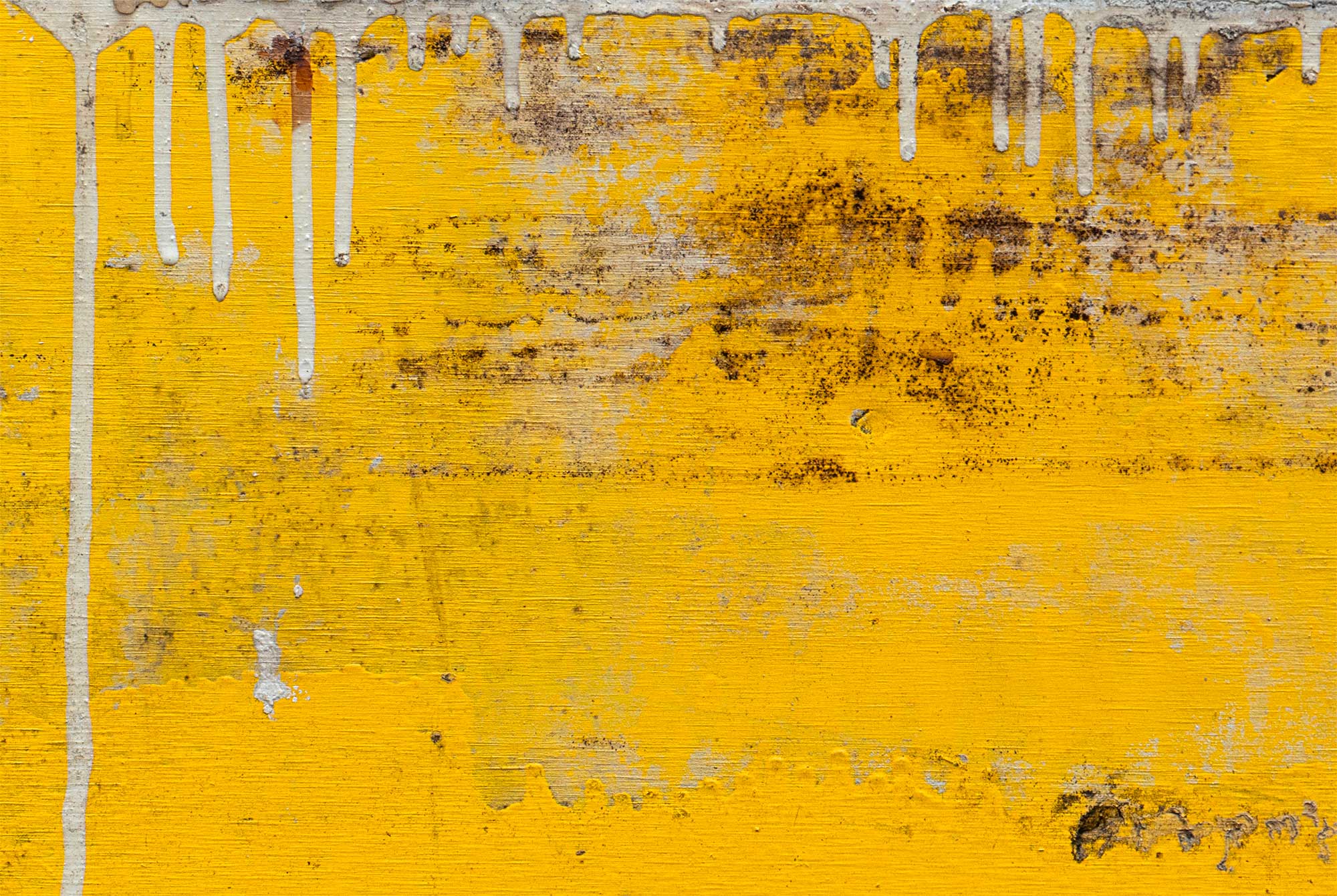 © Mark Wegner, Painter/Photographer - www.markwegner.com