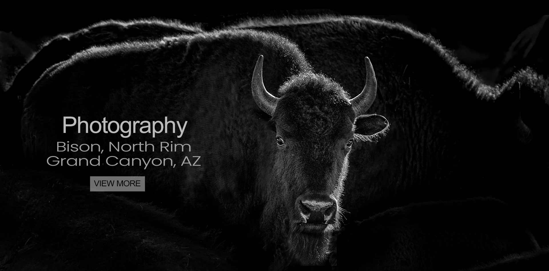 ©Mark Wegner - www.markwegner.com