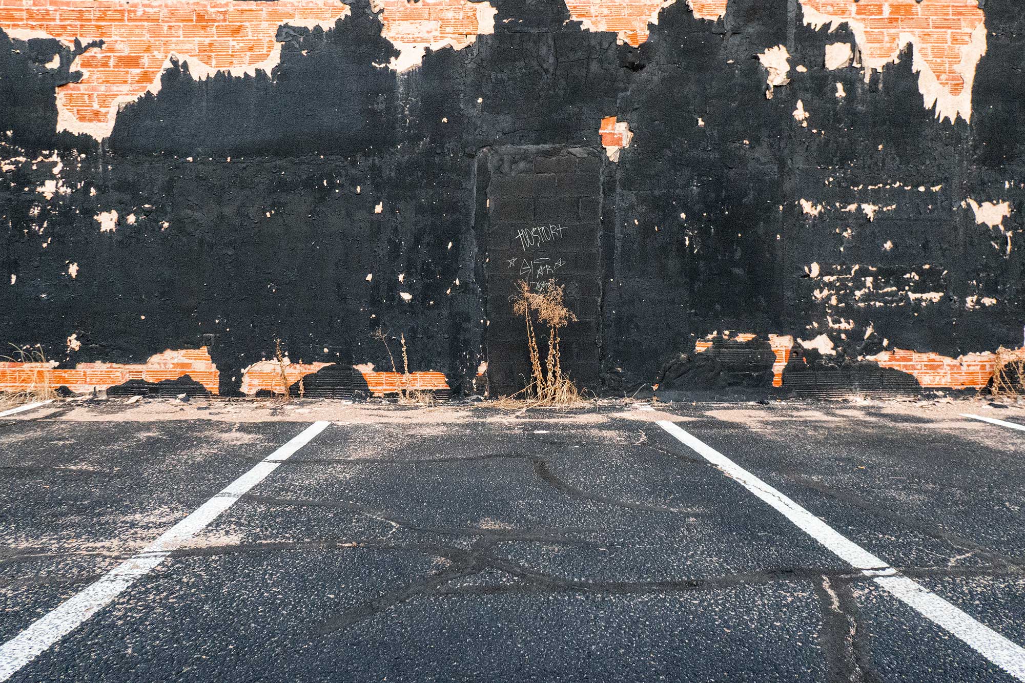 Mark Wegner, Painter/Photographer - www.markwegner.com