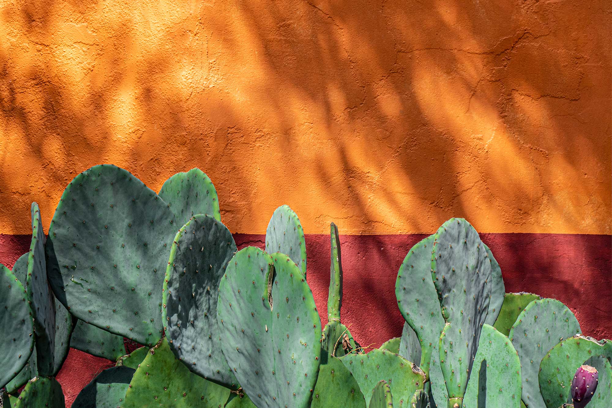 Mark Wegner, Painter/Photographer - www.markwegner.com