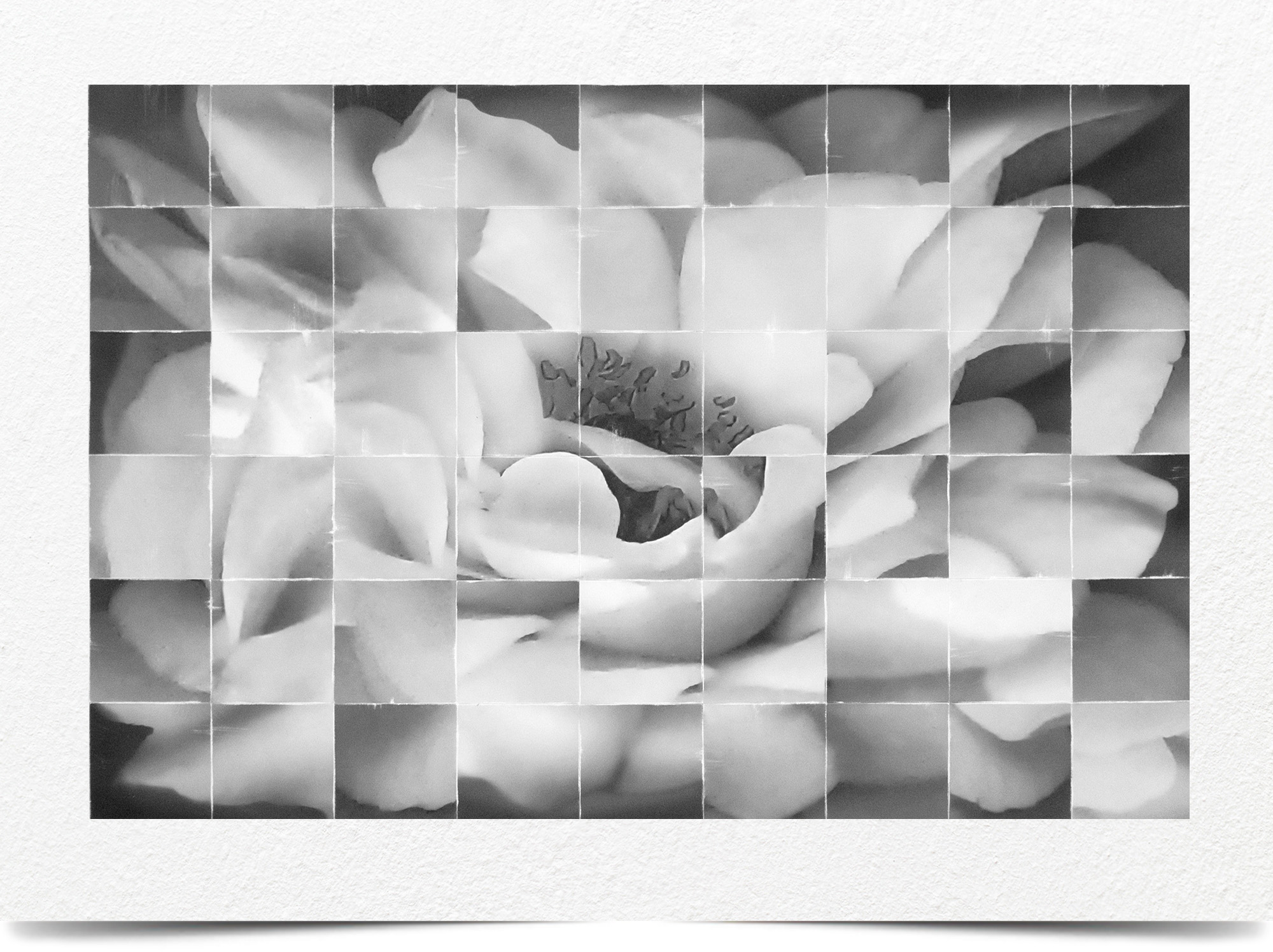 Mark Wegner, Photographer - www.markwegner.com