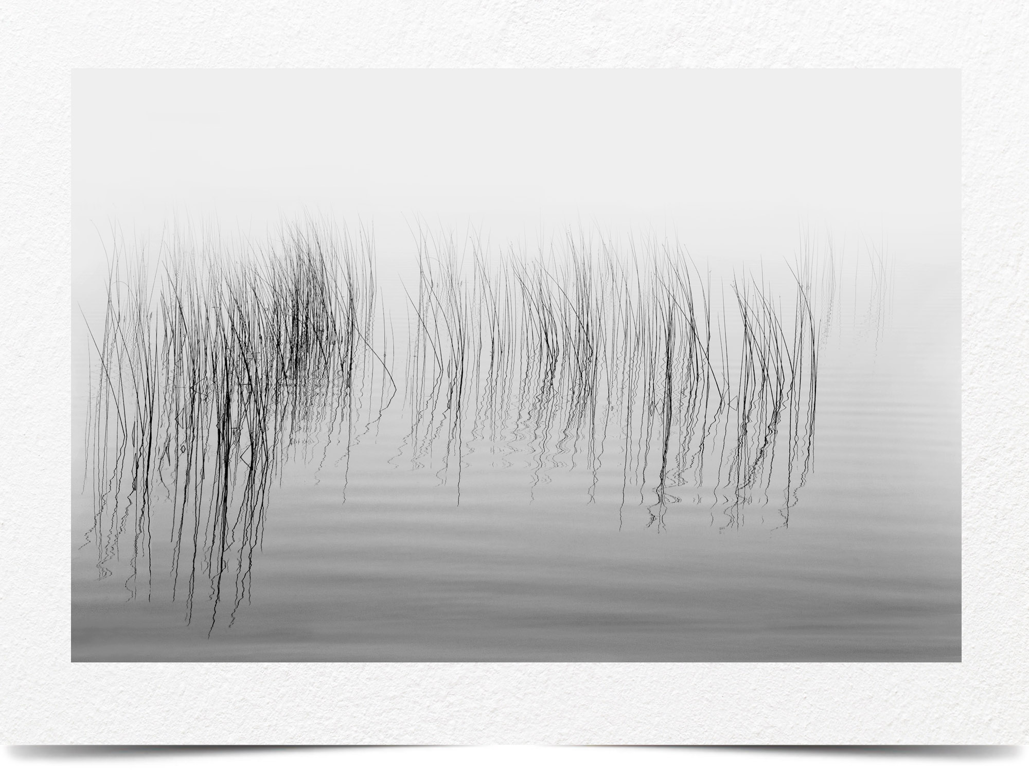 Mark Wegner, Photographer - www.markwegner.com