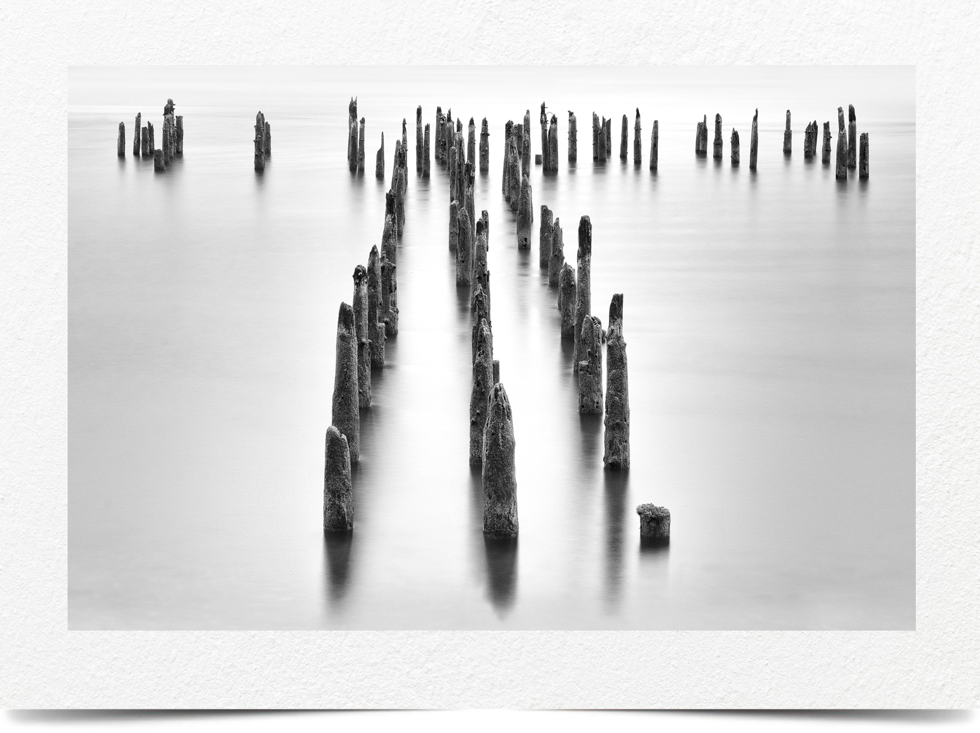 Mark Wegner, Photographer - www.markwegner.com